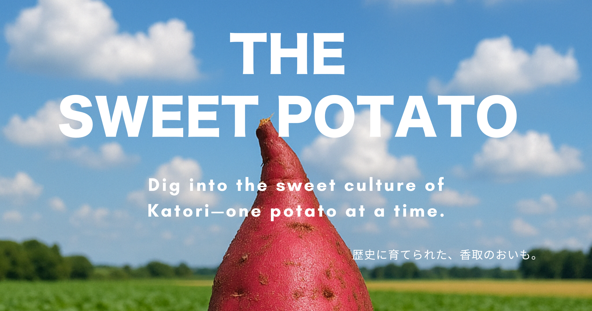 THE SWEET POTATO